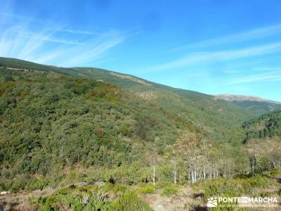 Pico Santuy; El Cerrón; el bosque de irati;urbasa;fotos sierra de madrid